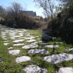 DSCN1085